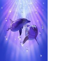dolphins