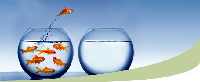 Fishbowl 2