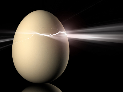 iStock_000000136484XSmall Transformation Egg